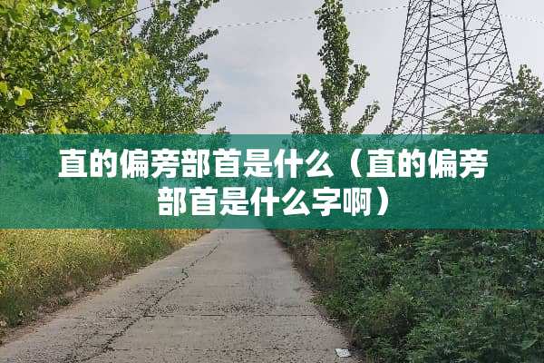 直的偏旁部首是什么（直的偏旁部首是什么字啊）