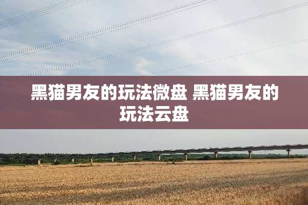 黑猫男友的玩法微盘 黑猫男友的玩法云盘