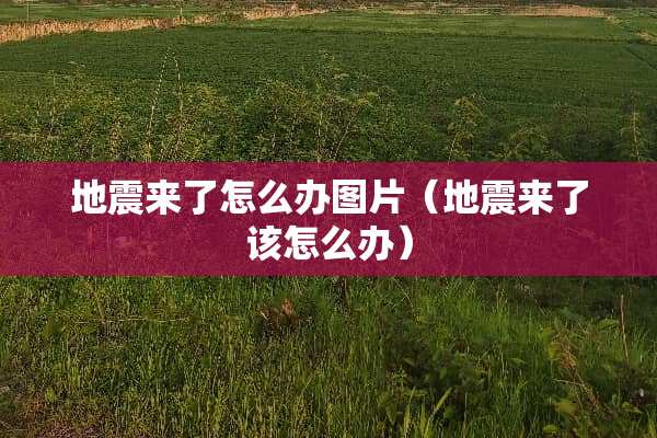 地震来了怎么办图片（地震来了该怎么办）