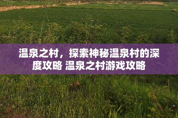 温泉之村，探索神秘温泉村的深度攻略 温泉之村游戏攻略