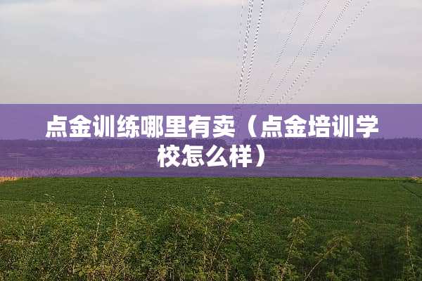 点金训练哪里有卖（点金培训学校怎么样）