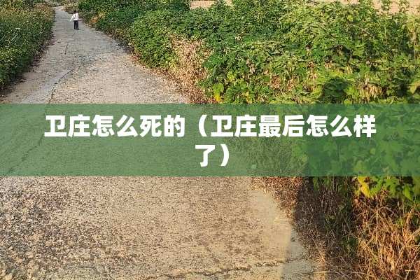 卫庄怎么死的（卫庄最后怎么样了）