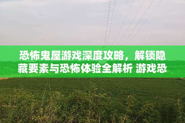 恐怖鬼屋游戏深度攻略，解锁隐藏要素与恐怖体验全解析 游戏恐怖鬼屋攻略