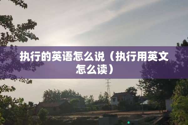 执行的英语怎么说（执行用英文怎么读）