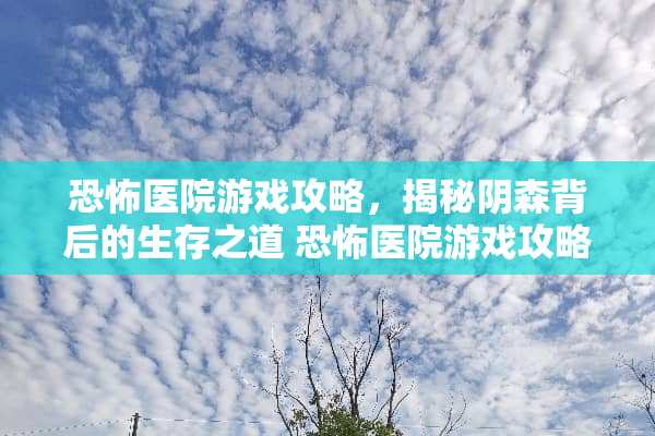 恐怖医院游戏攻略，揭秘阴森背后的生存之道 恐怖医院游戏攻略