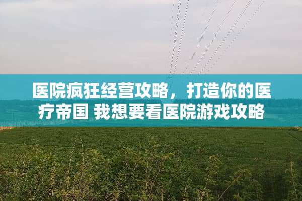 医院疯狂经营攻略，打造你的医疗帝国 我想要看医院游戏攻略