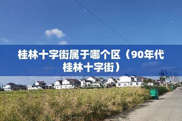 桂林十字街属于哪个区（90年代桂林十字街）