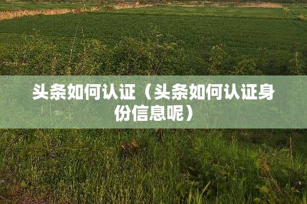 头条如何认证（头条如何认证身份信息呢）