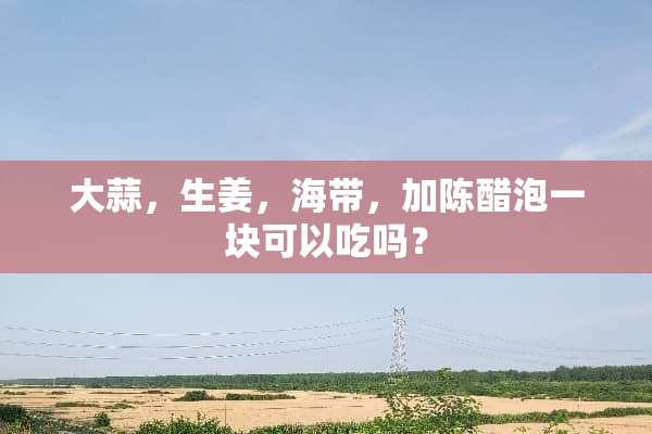 大蒜，生姜，海带，加陈醋泡一块可以吃吗？