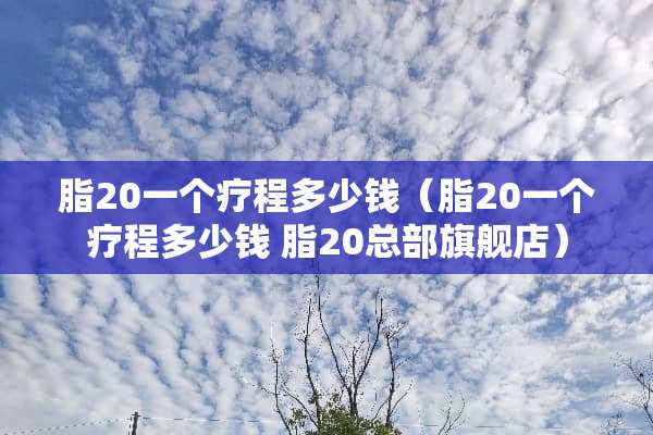 脂20一个疗程多少钱（脂20一个疗程多少钱 脂20总部旗舰店）