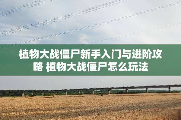 植物大战僵尸新手入门与进阶攻略 植物大战僵尸怎么玩法