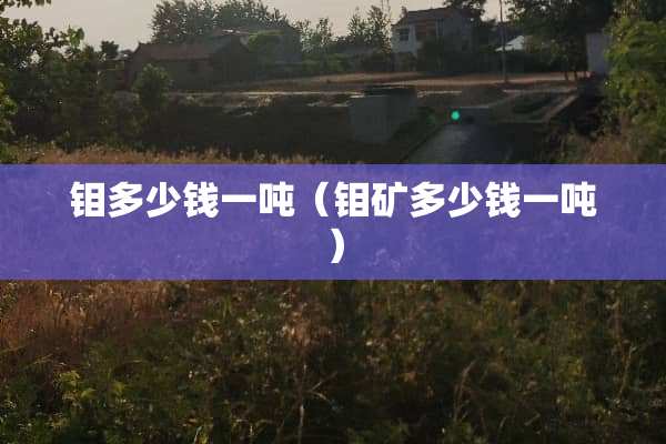 钼多少钱一吨（钼矿多少钱一吨）