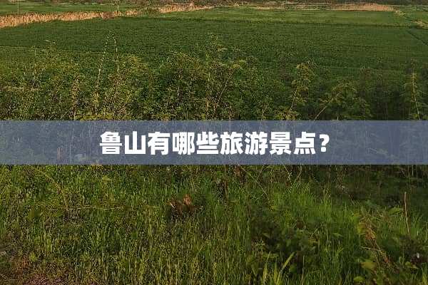 鲁山有哪些旅游景点？