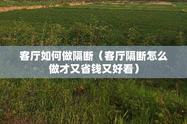 客厅如何做隔断（客厅隔断怎么做才又省钱又好看）