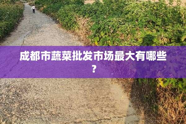 成都市蔬菜批发市场最大有哪些？