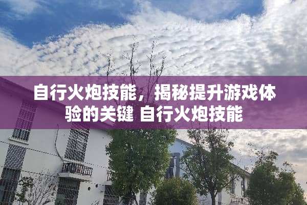 自行火*技能，揭秘提升游戏体验的关键 自行火*技能