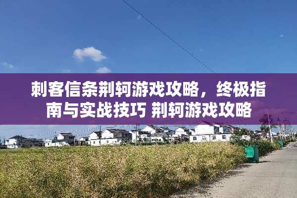 刺客信条荆轲游戏攻略，终极指南与实战技巧 荆轲游戏攻略