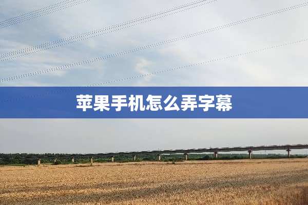 苹果手机怎么弄字幕
