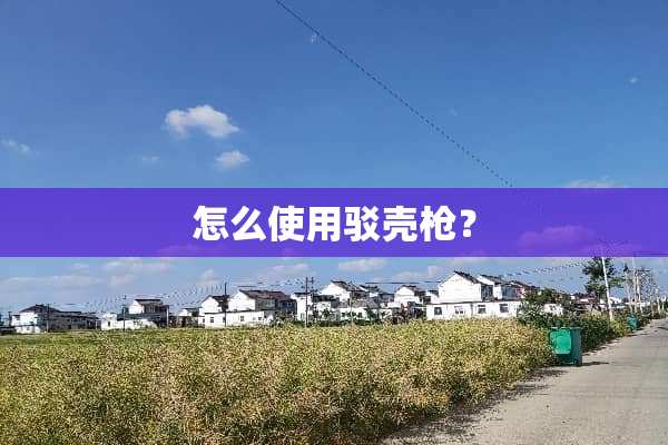 怎么使用驳壳*？