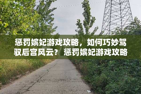 惩罚嫔妃游戏攻略，如何巧妙驾驭后宫风云？ 惩罚嫔妃游戏攻略