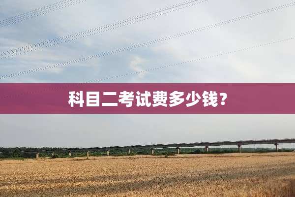 科目二考试费多少钱？