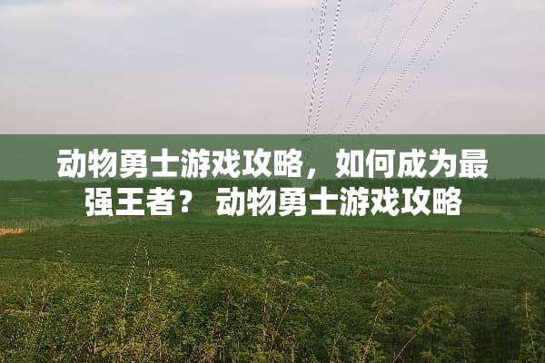 动物勇士游戏攻略，如何成为最强王者？ 动物勇士游戏攻略