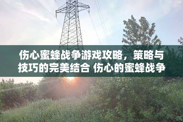 伤心蜜蜂战争游戏攻略，策略与技巧的完美结合 伤心的蜜蜂战争游戏攻略