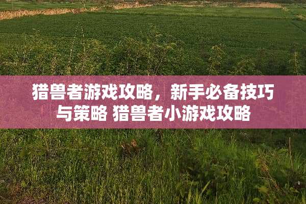 猎兽者游戏攻略，新手必备技巧与策略 猎兽者小游戏攻略