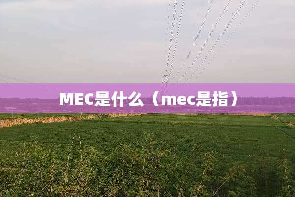 MEC是什么（mec是指）