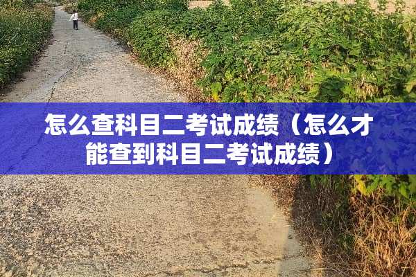 怎么查科目二考试成绩（怎么才能查到科目二考试成绩）