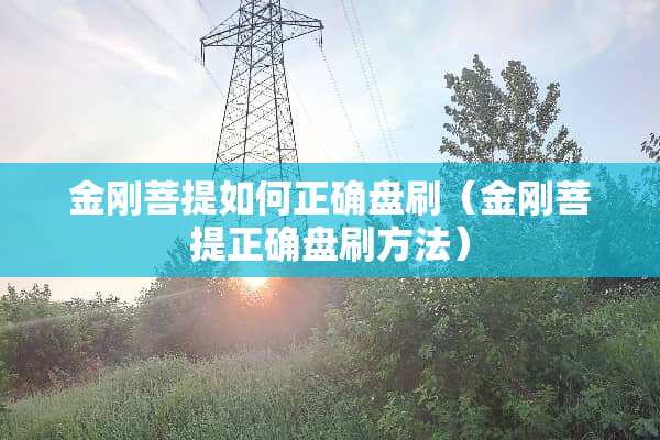 金刚**如何正确盘刷（金刚**正确盘刷方法）