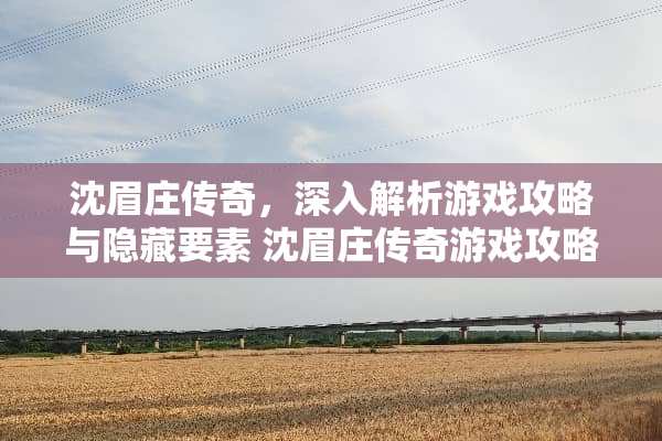 沈眉庄传奇，深入解析游戏攻略与隐藏要素 沈眉庄传奇游戏攻略