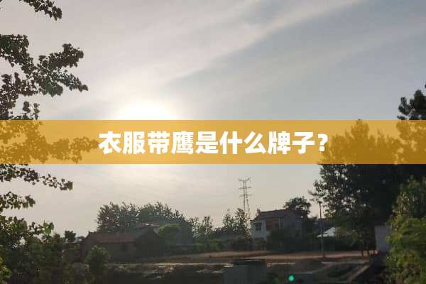 衣服带鹰是什么牌子？