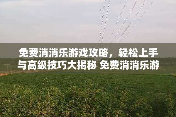 免费消消乐游戏攻略，轻松上手与高级技巧大揭秘 免费消消乐游戏攻略