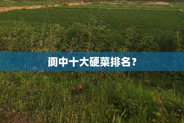阆中十大硬菜排名？