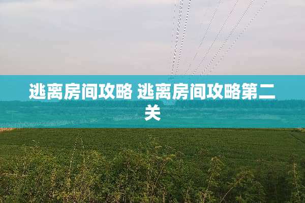 逃离房间攻略 逃离房间攻略第二关