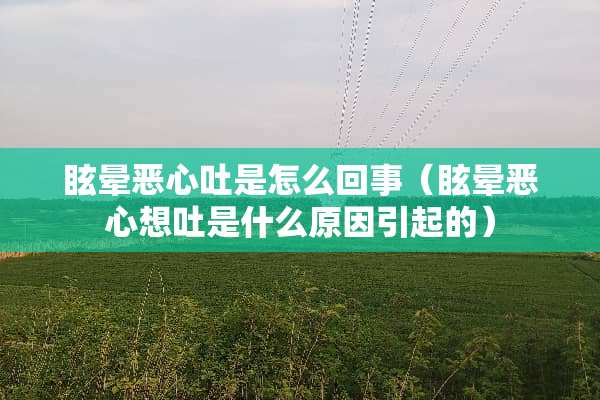 眩晕恶心吐是怎么回事（眩晕恶心想吐是什么原因引起的）