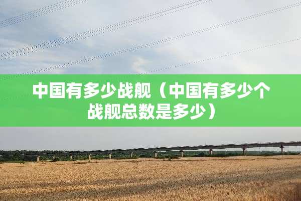 中国有多少战舰（中国有多少个战舰总数是多少）