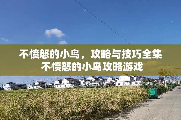 不愤怒的小鸟，攻略与技巧全集 不愤怒的小鸟攻略游戏