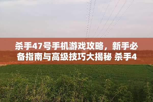 **47号手机游戏攻略，新手必备指南与高级技巧大揭秘**47号手机游戏攻略