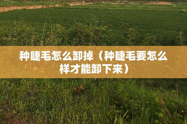 种睫毛怎么卸掉（种睫毛要怎么样才能卸下来）