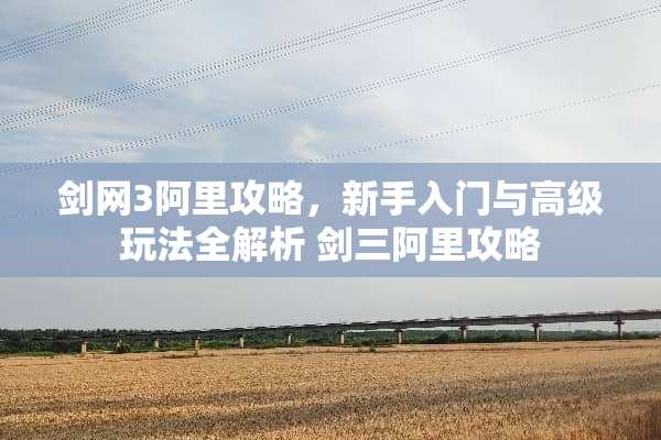 剑网3阿里攻略，新手入门与高级玩法全解析 剑三阿里攻略