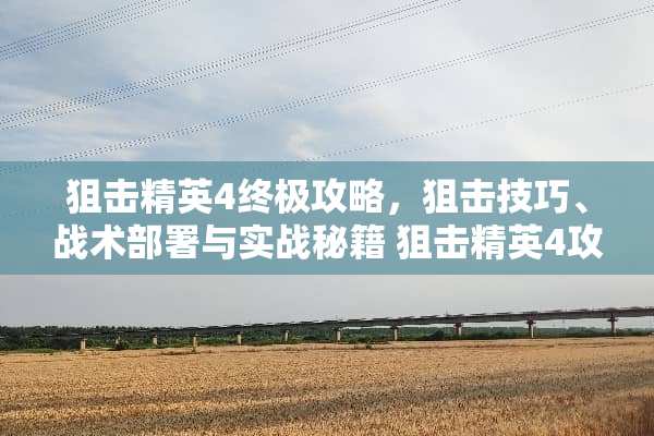 **精英4终极攻略，**技巧、战术部署与实战秘籍**精英4攻略
