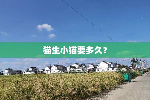 猫生小猫要多久？