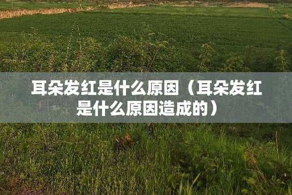 耳朵发红是什么原因（耳朵发红是什么原因造成的）