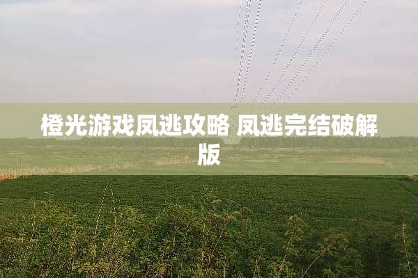 橙光游戏凤逃攻略 凤逃完结**版