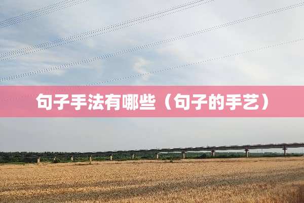 句子手法有哪些（句子的手艺）