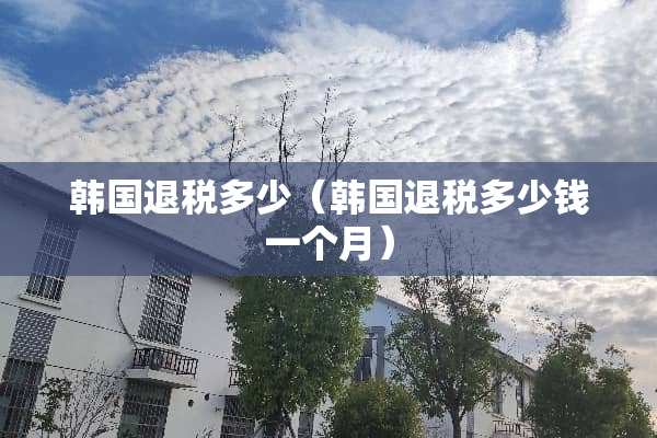 韩国退税多少（韩国退税多少钱一个月）