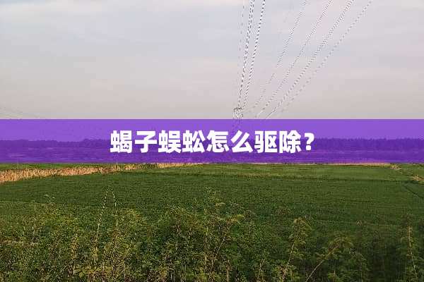 蝎子蜈蚣怎么驱除？