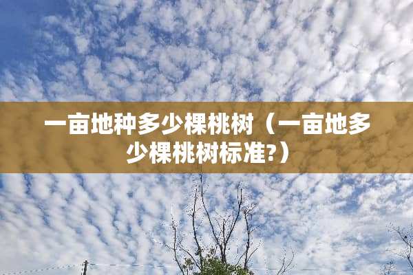 一亩地种多少棵桃树（一亩地多少棵桃树标准?）